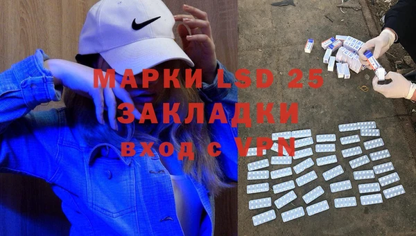хмурый Абаза