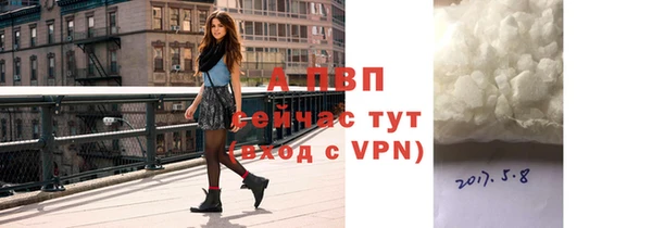 прущие грибы Абдулино