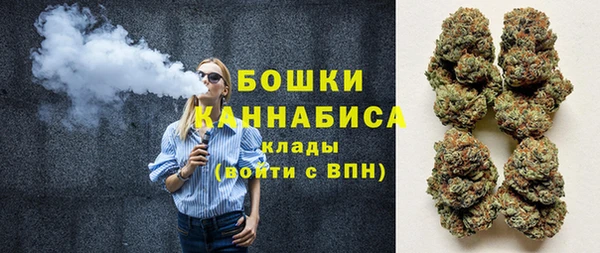 хмурый Абаза