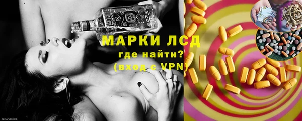 хмурый Абаза
