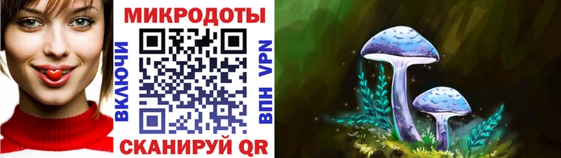 Галлюциногенные грибы GOLDEN TEACHER  hydra зеркало  Нестеровская  наркошоп 