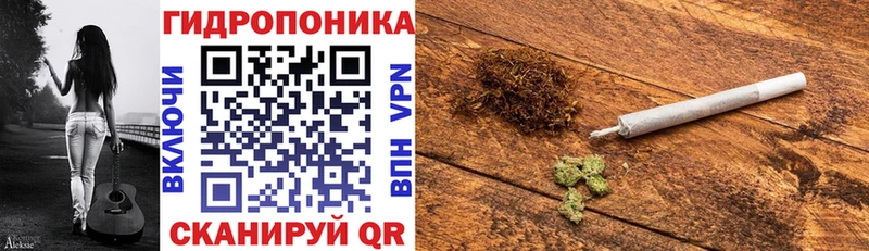 Бошки марихуана конопля Нестеровская